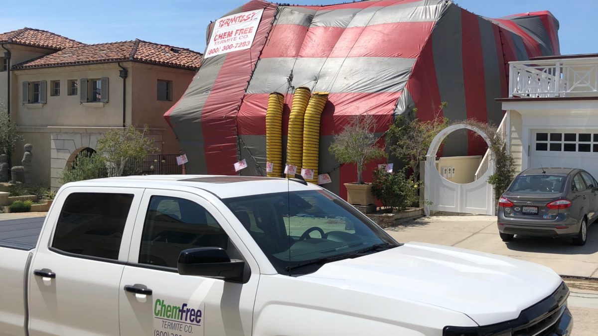 fumigation, termite treatment, home termite treatment, termite inspections, termite control, termite extermination, tent fumigation, termite control services, residential termite control, commercial termite control, termite fumigation, chemfree exterminating, termite inspector, termite exterminator