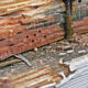 termite-eat-plywood