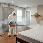 termite extermination services